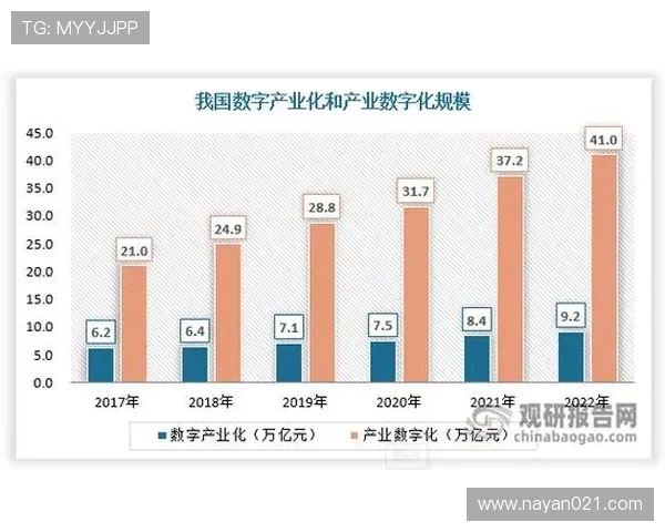 武汉街舞队技术表现深度数据分析与趋势探讨
